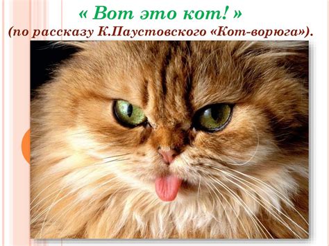 Вот это кот! (по рассказу К. Паустовского «Кот-ворюга») - презентация ...