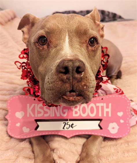 Guess who has a torn CCL and is on a strict rest schedule until surgery