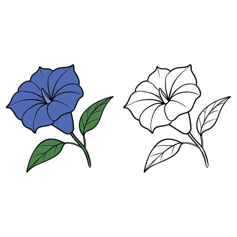 Flower Outline Design - Floral Clipart - Morning glory flower