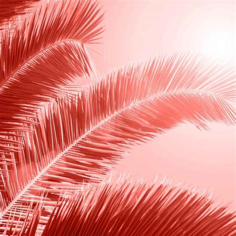 How to Use Living Coral, Pantone’s Color of the Year, in Your Designs