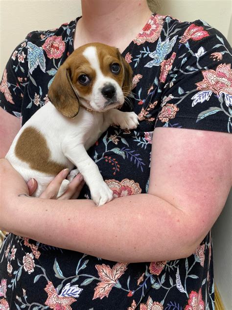 tabb magruder animal clinic 6