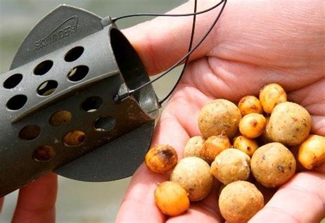 Тигровый орех для рыбалки на карпа: купить сухой, как готовить чуфа ...