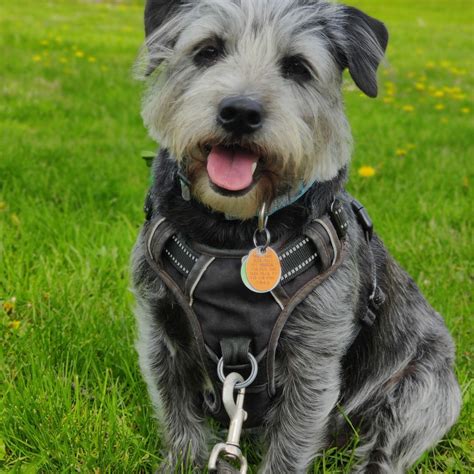 Savannah Costello - I have been so privileged to have worked with so