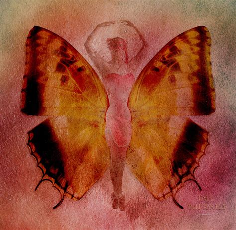 Download wallpaper for 3840x2160 resolution | Fall Butterfly | other