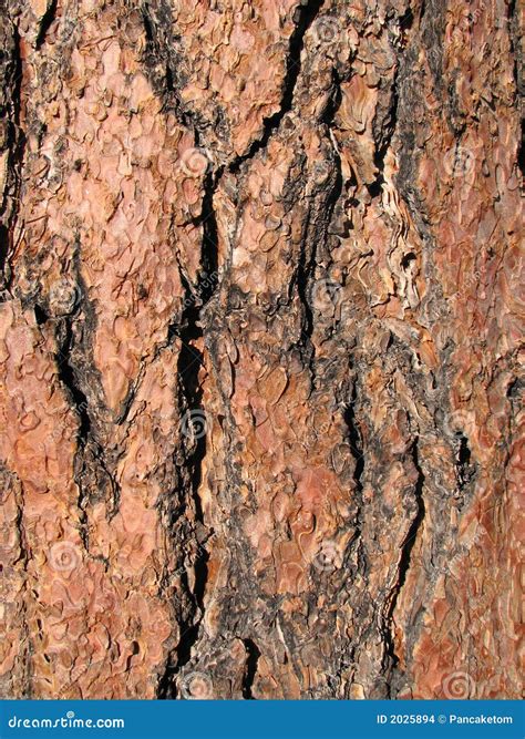 Dry Pine Bark For Transplanting Orchids Of Other Plants. The Substrate