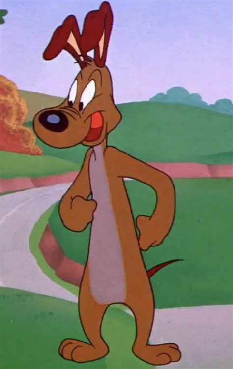 Looney Tunes Characters Dog