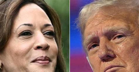 chi ha vinto le elezioni americane ed  il nuovo presidente degli stati