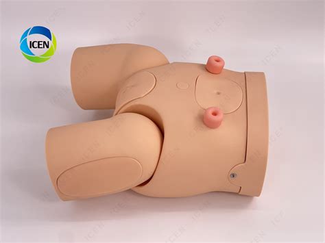 IN-M9 Male Urinary Catheterization Training Simulator Male Bladder