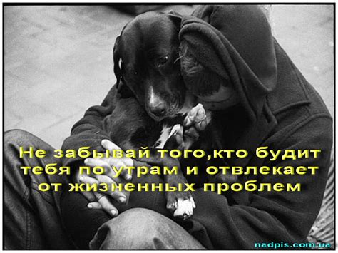 Доброе утро | Картинки с надписями, прикольные картинки с надписями для ...