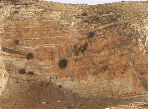 Qanat Fir'aun / Decapolis Aqueduct | Wadi Shellale