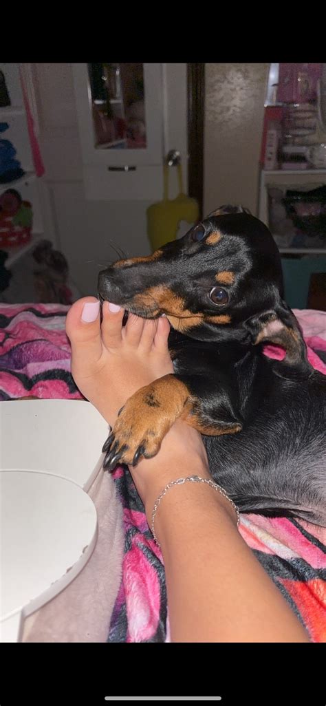 Erikamdiaz (@_erikamdiaz) | TikTok