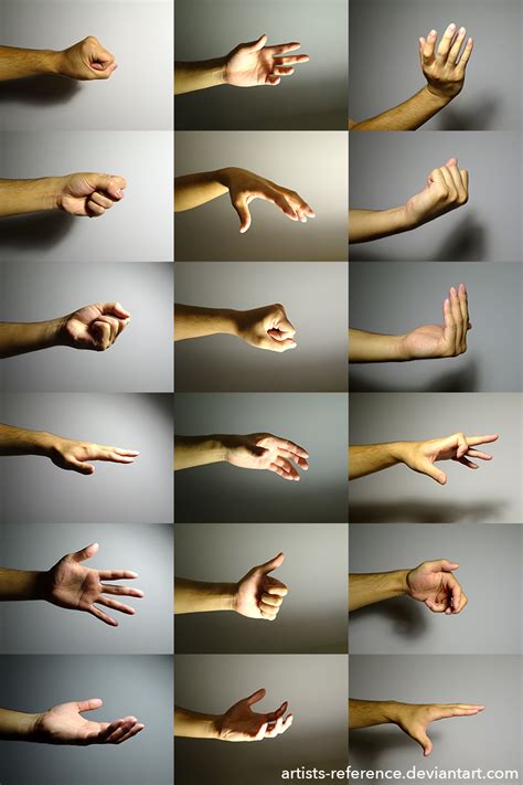 hand  reference photo set   artists reference  deviantart