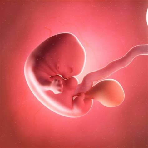 Foetal Alcohol Spectrum Disorders (FASD) Level 3 Online Course ...