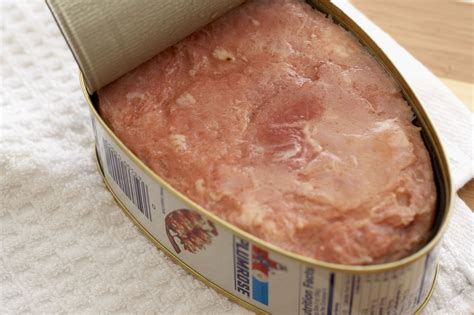 Can Dogs Eat Ham? Reason You Should Not Give Ham To Dogs