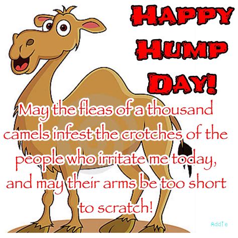 May the fleas of a thousand camels infest the crotches of the people ...