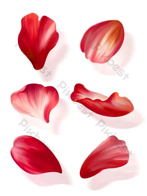 Share 66+ rose petals sketch super hot - seven.edu.vn