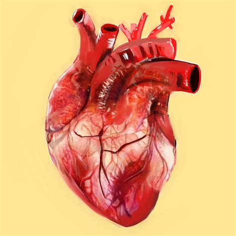 artstation heart realistic artwork artworks