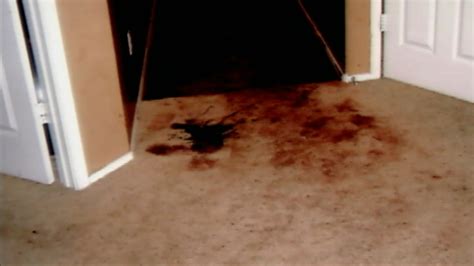 Jodi Arias Trial: Crime Scene Photos & The Fight for Justice - 9h0tggg