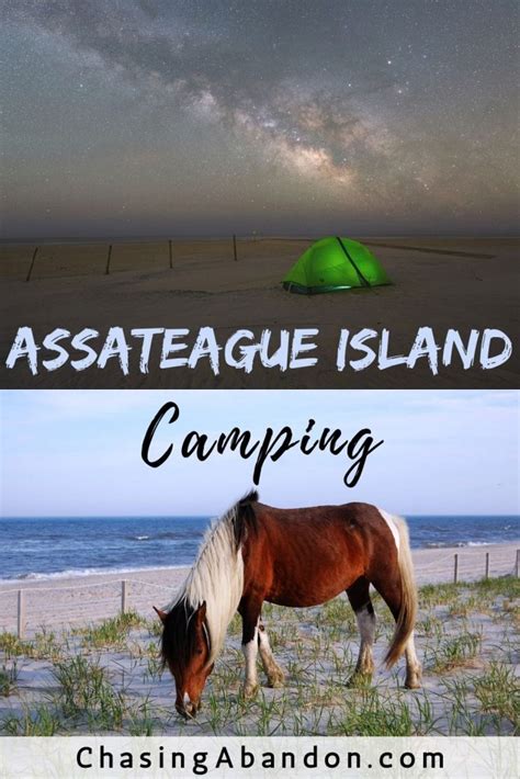 Assateague Island Camping Guide - Chasing Abandon