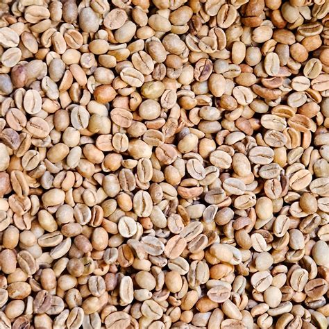 Bali Kintamani Natural – The Coffee Project