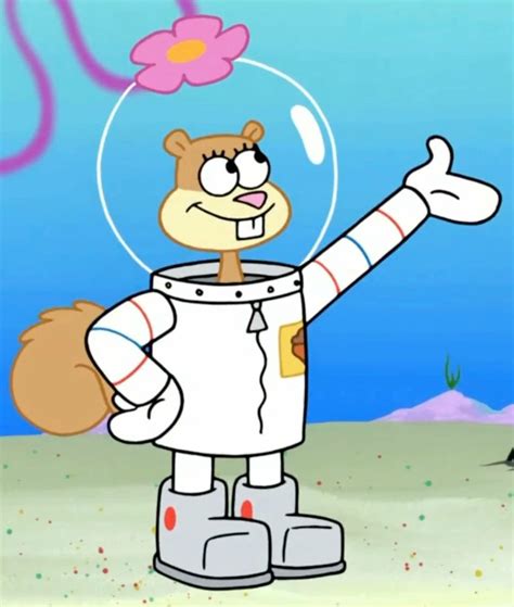 Pin by Vivian on Spongebob | Sandy cheeks, Character, Sandy