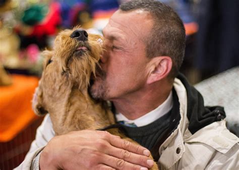 Behind the Scenes at the 2014 National Dog Show - Vetstreet | Vetstreet