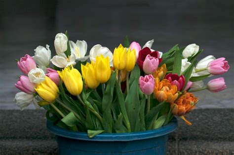 Camilla+Araujo+Pink+Pic Photos, Download The BEST Free Camilla+Araujo