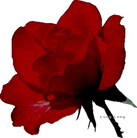 Blumen - GB Pics, GB Bilder, Gästebuchbilder, Facebook Bilder, Jappy Bilder