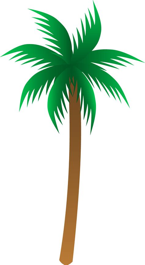 palm tree vector image 3