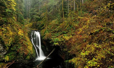 Oregon Nature Wallpapers - 4k, HD Oregon Nature Backgrounds on WallpaperBat