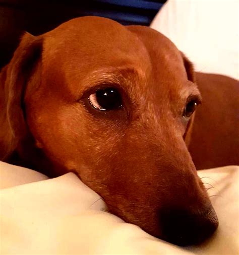 Everything Cool Estate Sales | Farragut TN