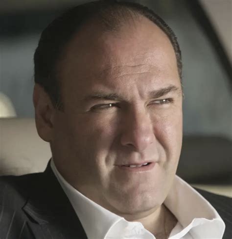 Category:The Sopranos (Season 3) Characters | The Sopranos Wiki | Fandom