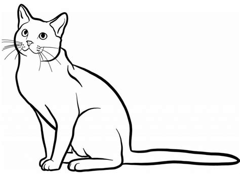 Desenhos De Gatos Para Copiar - FDPLEARN