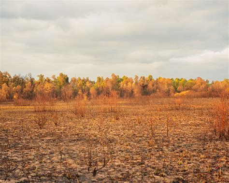 fall  early  behance