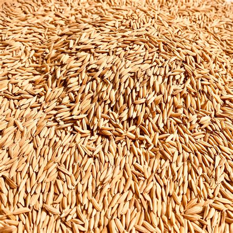 Mysore Mallige Rice-Jasmine Rice-Karnataka – Vintage Farmers