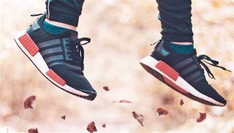 evolution hasnt revamped alligators   million years futurity