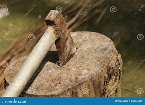 hew stock    royalty