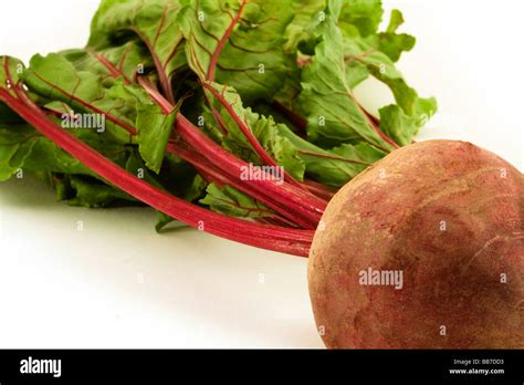 beet root close  stock photo alamy