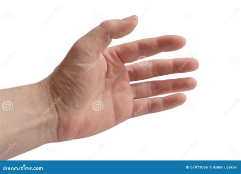 Menschliche Hand stockfoto. Bild von menschlich, gekritzel - 67973066