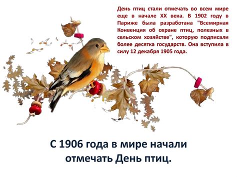 Международный день птиц - презентация онлайн