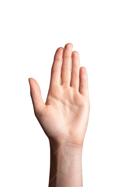 premium photo hand palm raised  isolated  white