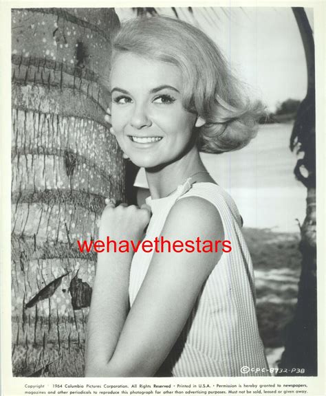 Shelley Fabares Naked