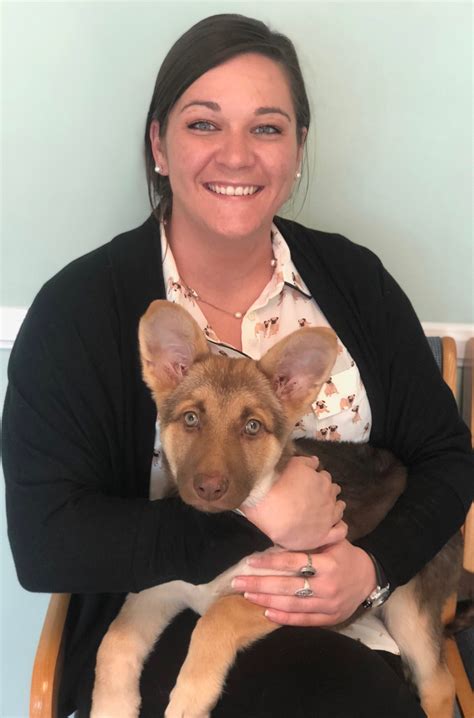 Best Veterinary Hospital In Cary NC | Homestead Vet Hospital