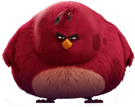 Terence (Angry Birds) | Duchess Productions Wiki | Fandom