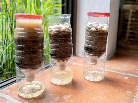 como hacer  filtro de agua casero de forma facil