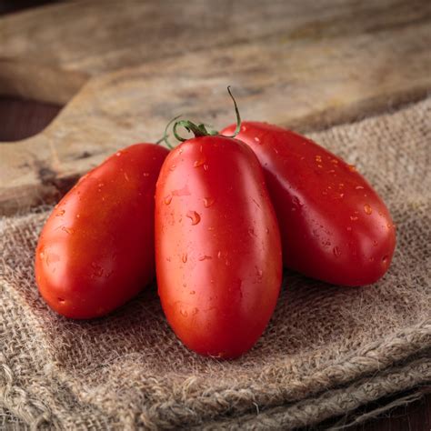 Italian Tomato - San Marzano 2 - Premier Seeds Direct