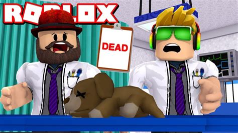 sick animals roblox vet simulator youtube