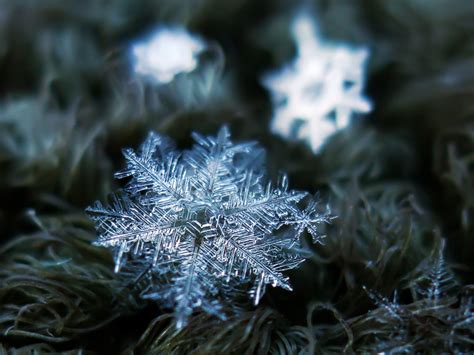 Photographer captures snowflakes in stunning detail - TODAY.com
