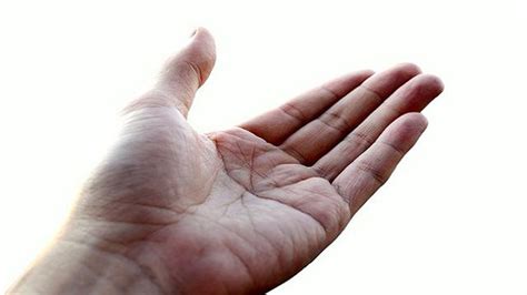 gambar tangan manusia pulp