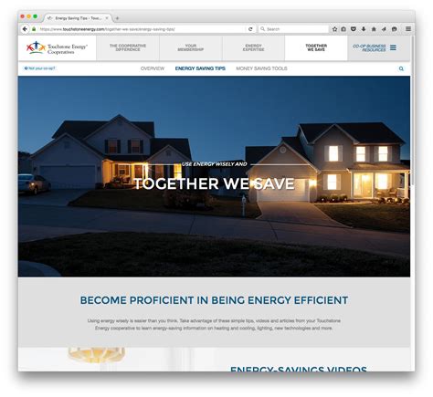 tse tennessee electric cooperative association